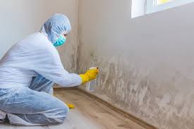 Best Crawl Space Mold Remediation  in Mowbray Mountain, TN