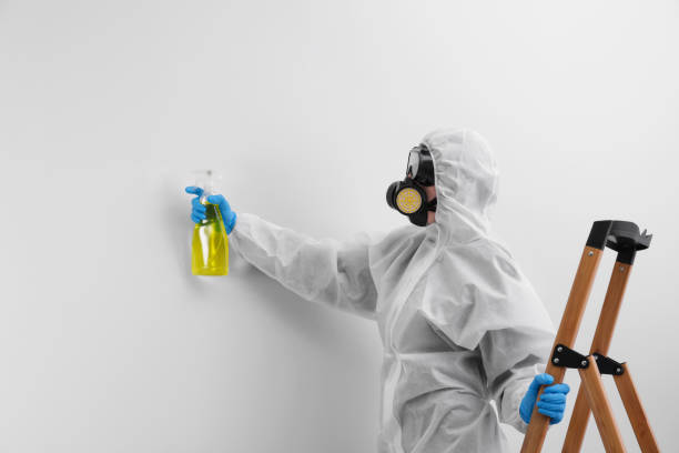 Best Attic Mold Removal  in Mowbray Mountain, TN